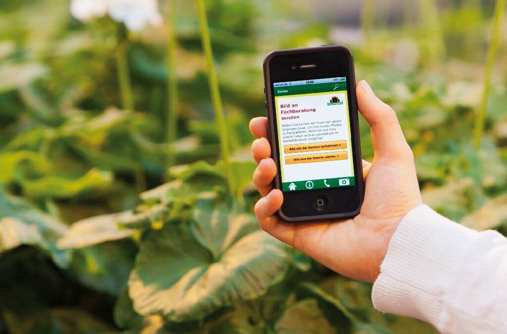 Eine Personh hat ein Smartphone in der Hand. Im Hintergrund sind Pflanzen.