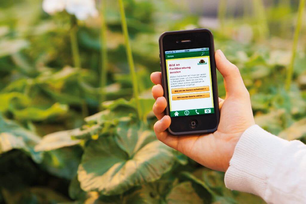 Eine Personh hat ein Smartphone in der Hand. Im Hintergrund sind Pflanzen.
