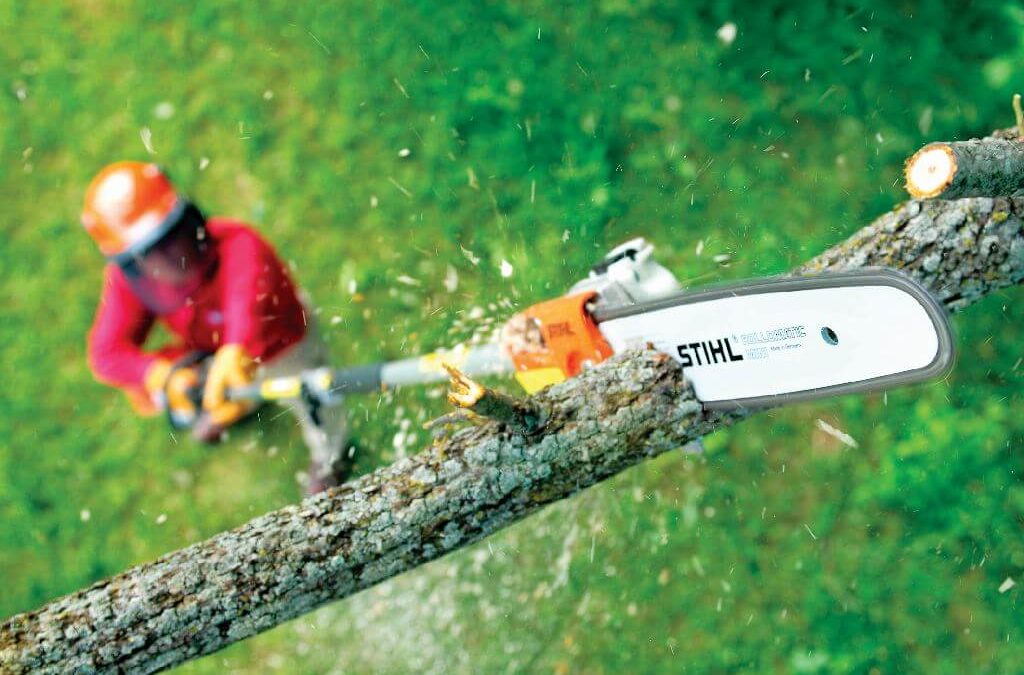 Für Wachstum und reiche Obsternte