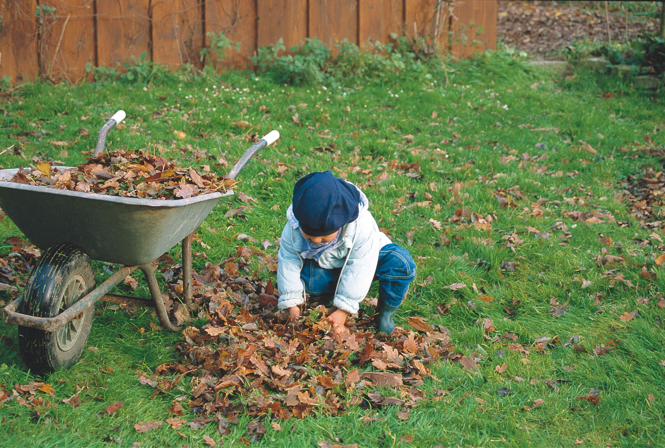 Ein Kleinkind hilft bei der Gartenarbeit und sammelt Laub zusammen, damit die Grünfläche im Anschluss mit der Rasenkur behandelt werden kann.