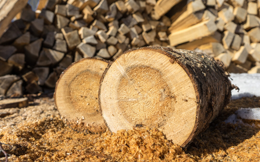 Vorbereitung auf den Winter: Brennholz selbst sägen